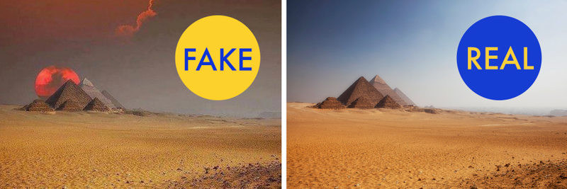 Illustration for article titled 12 More Viral Photos That Are Lying to You